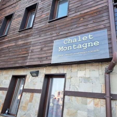 Chalet Montagne Bansko Apartment Dış mekan fotoğraf